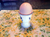 半熟卵　Ein weiches Ei